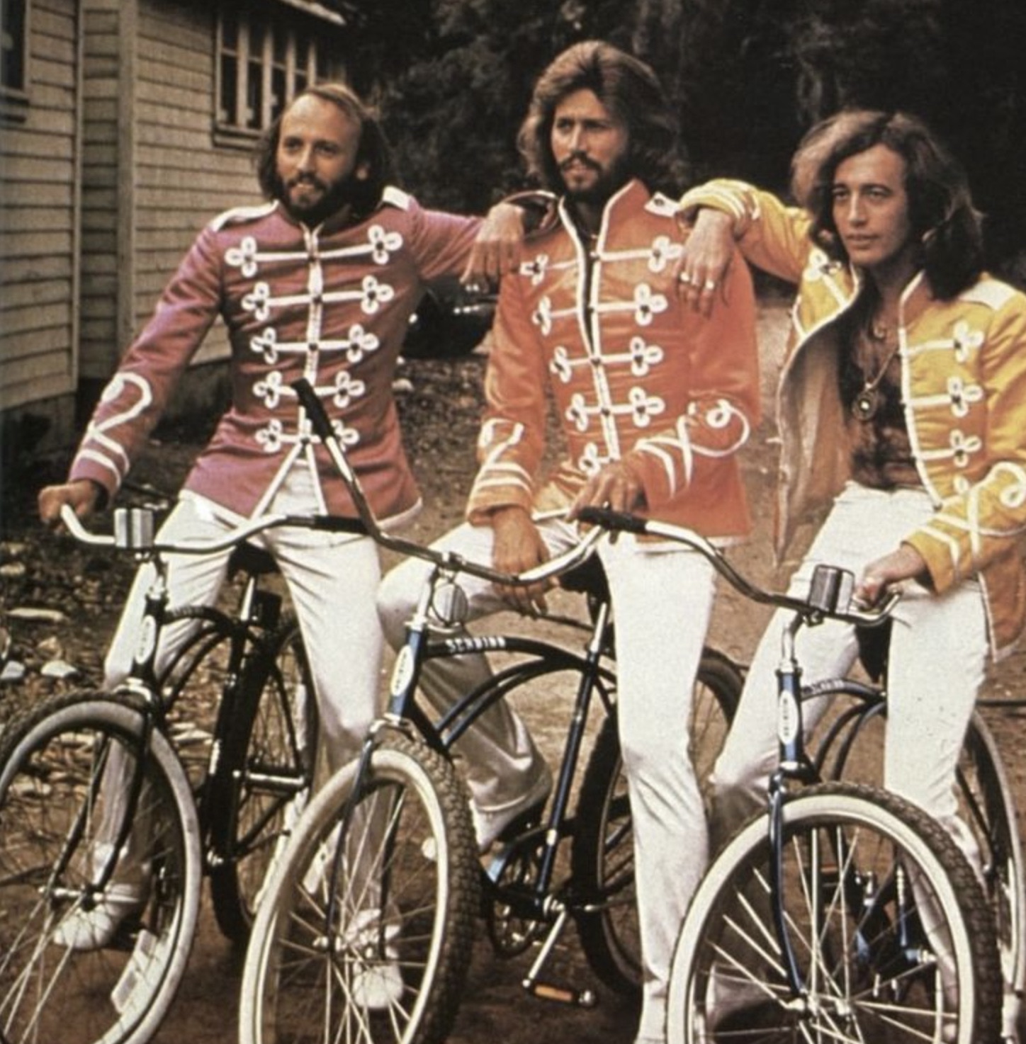 Reflections of Time and Emotion: Understanding the Depth of the Bee Gees’ “Lion in Winter”

